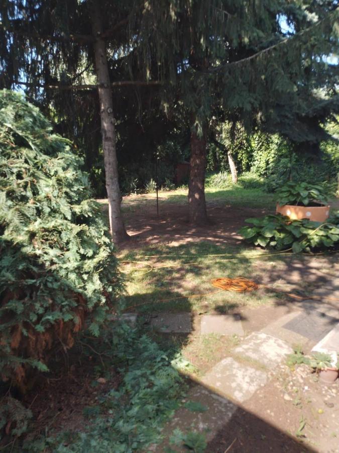 2 Rooms Retro Guesthouse In A Silent Garden Vecses Exterior photo